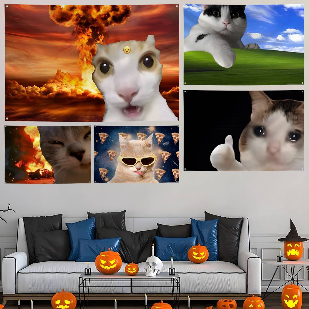 Interesting cat photography Fl - Photography Interest recension och pris