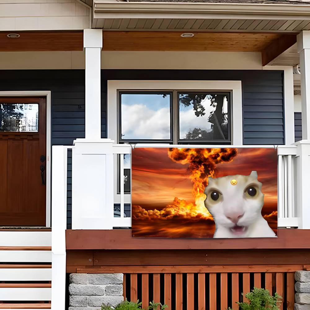 Interesting cat photography Fl - Photography Interest recension och pris
