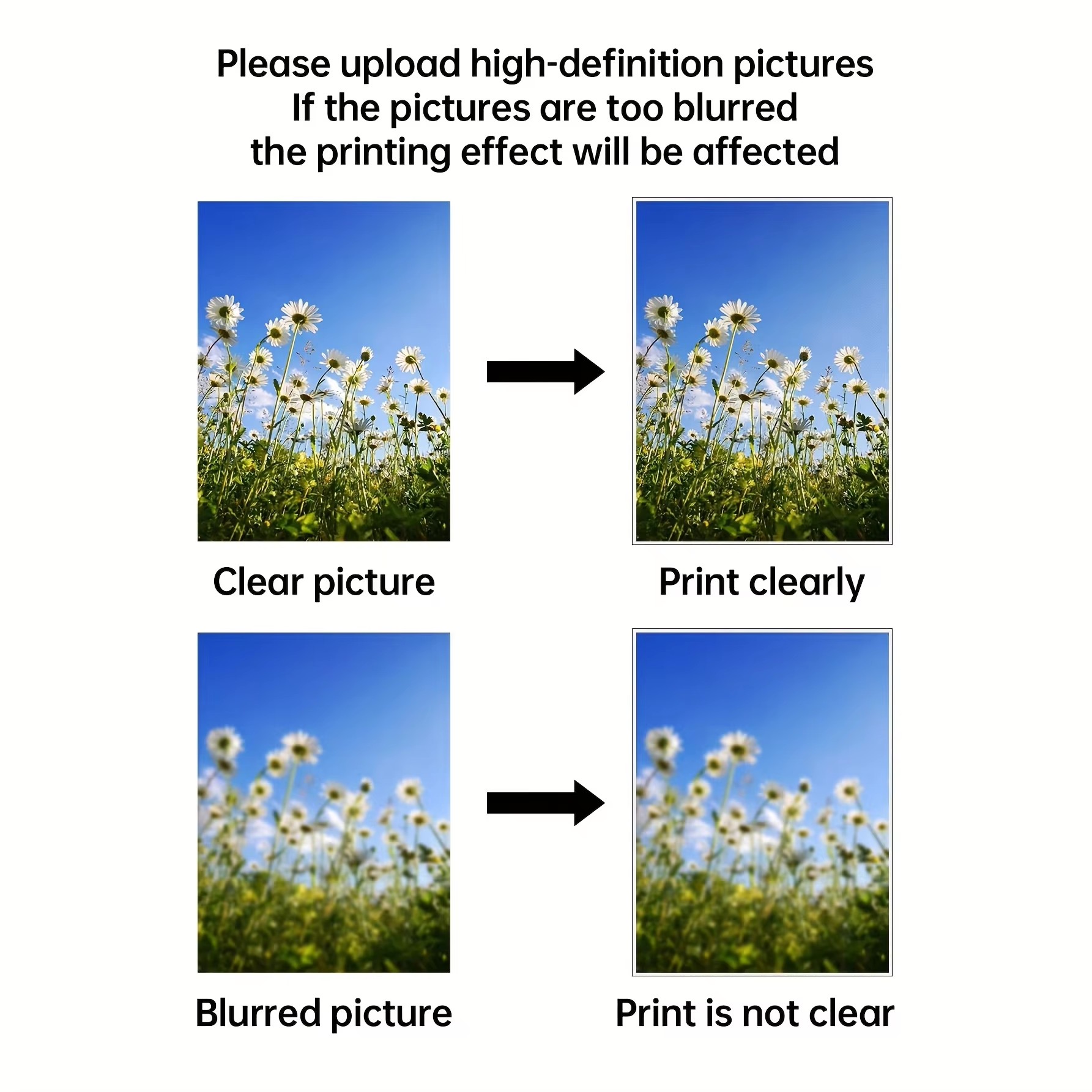 Custom Print Canvas Painting F - Photography Poster recension och pris