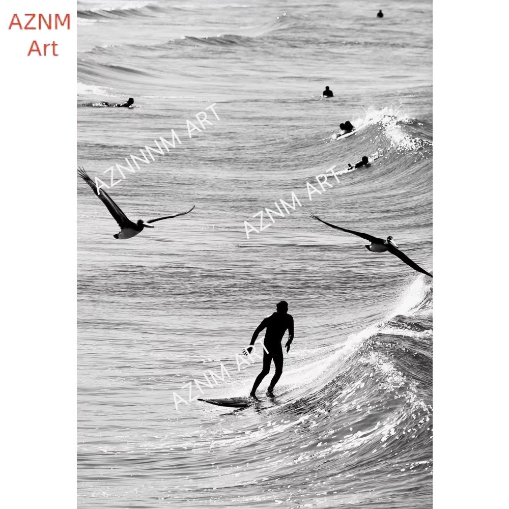 1PC ，Fine Surfing Black and Wh - Photography Poster recension och pris