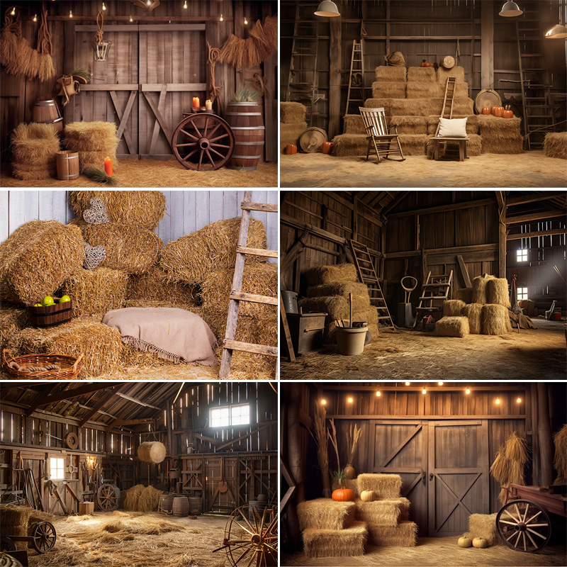 Western Cowboy Charm of the Co - Photography Backdrop Muslin recension och pris