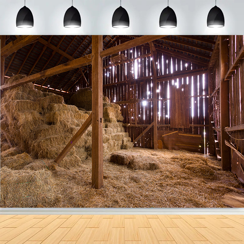 Western Cowboy Charm of the Co - Photography Backdrop Muslin recension och pris